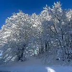 Rifugio Dello Sciatore Roccaraso